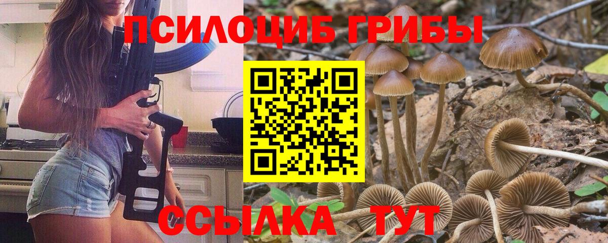 Псилоцибиновые грибы прущие грибы Губкинский