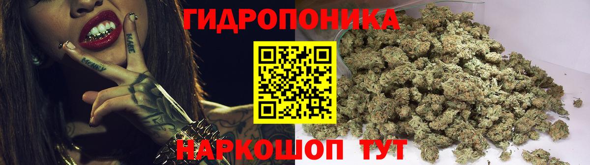 Марихуана сатива  Шишки марихуана марихуана  Бошки марихуана семена  Вход с VPN  Губкинский  Марихуана MAZAR 